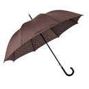 Parapluie Sienne